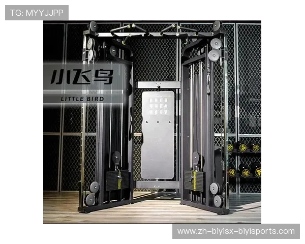 飞鸟家用健身设备小型化设计释放空间 飞鸟家用健身设备小型化设计释放空间