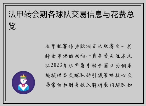 法甲转会期各球队交易信息与花费总览
